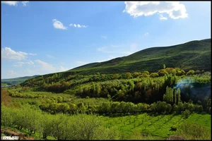 پوشاک اسپرت دیانا شعبه دوم