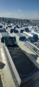 آرامگاه رضا شهپر نیا