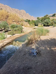 تنگ ابوالعباس