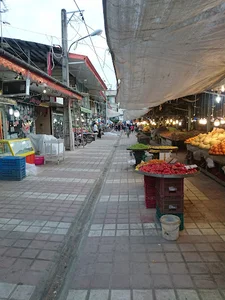 سوپرپروتئینی شهرما