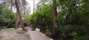 باغ رستوران البرز 4