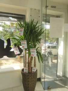 داروخانه دکتر فرحناز شفیعی 2