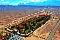 سوپر گوشت مرکزی