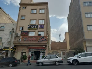 Dr.Shaghayegh Vazifeh Shenas
