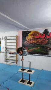باشگاه ژیمناستیک اسطوره