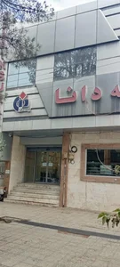 بیمه دانا 2