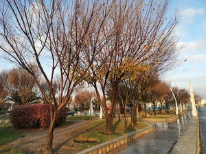بوستان حجاب