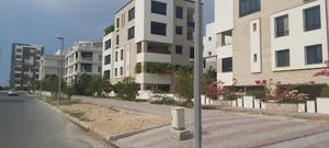 کیش نگین