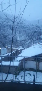 آب معدنی ویچیر