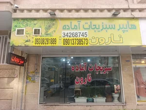 سبزیجات آماده نارون 2