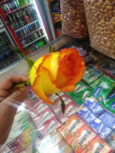 سوپر اریانا 3