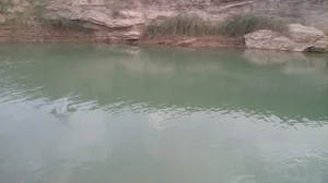 اداره کار و امور اجتماعی