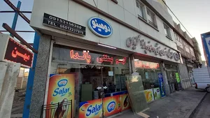 نمایندگی بستنی پاندا و دومینو