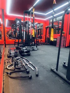 باشگاه امید جیم | OMIDGYM