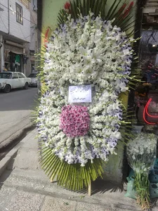 گلفروشی نازگل