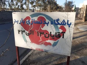 باشگاه ورزشی باربد 2