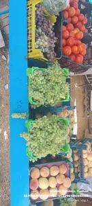 ارزنسرای میوه خدابنده 4