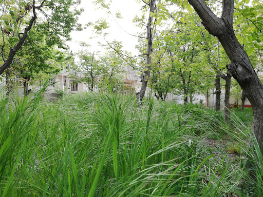 پیش دبستان و دبستان دخترانه سریر خرد