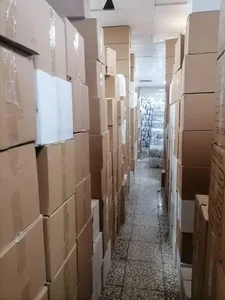 کفش ویندا 5