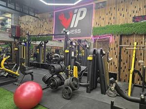 باشگاه vip (فرهنگ)
