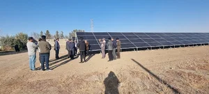 کمپوست نوین فریمان