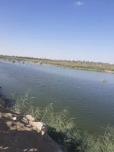 مسجد فاطمه الزهرا