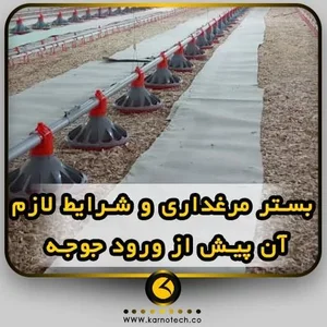 دفتر مرغداری بادرستانی