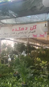 گل دهکده
