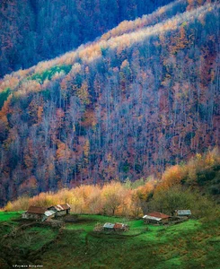 عباس محسنی