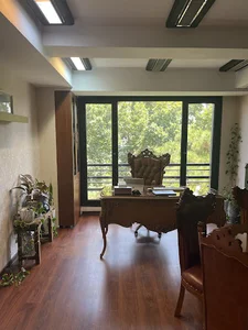 ایران سیف پل