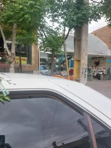 گلخانه هشت بهشت 3