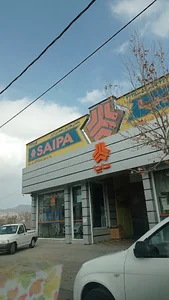 نمایندگی سایپا