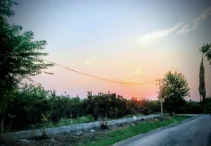 شهرداری جویبار