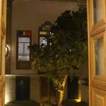 تولد رویایی قم