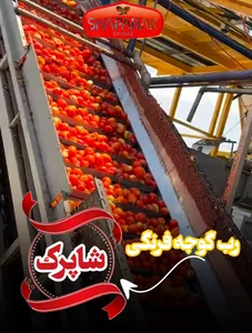 فروش رب گوجه فرنگی شاپرک 2