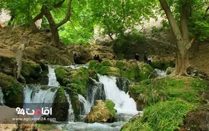 آشیانه آتشگاه
