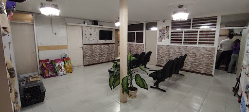 کلینیک دامپزشکی دامون