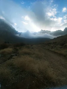 پارک سیدمیرزا