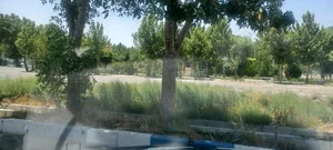 پارک شهدای حصارزیرک