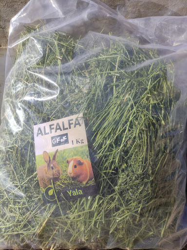 Yala Farm مزرعه یالا