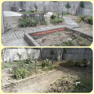 علی برهانی نسب 4