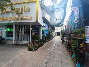 مطب دکتر سید مجتبی اخلاقی هاشمی پور