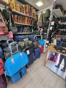 کیف دلسی