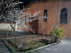 کارخانه دستمال کاغذی متین