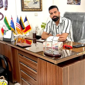 استاد مهران