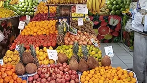 میوه فروشی مزرعه میوه