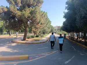 بوستان گلسار 3