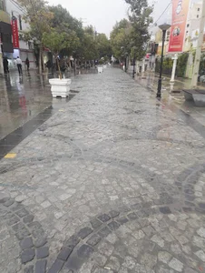 فروشگاه رسا تصویر