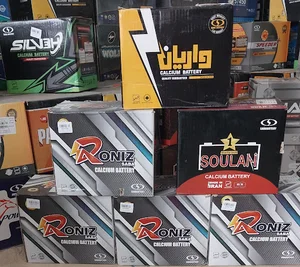 باتری فروشی استا غلامرضا دیلمی وپسران