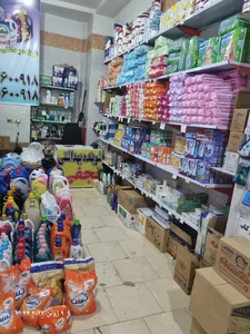 شوینده بهداشتی نجفی 3